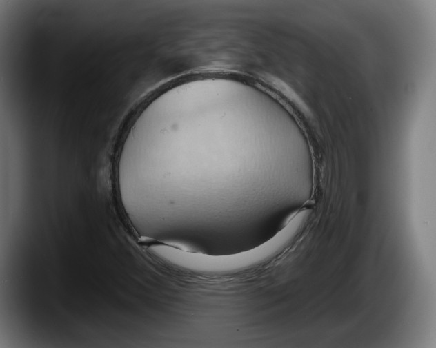 X0000087531356200705251651