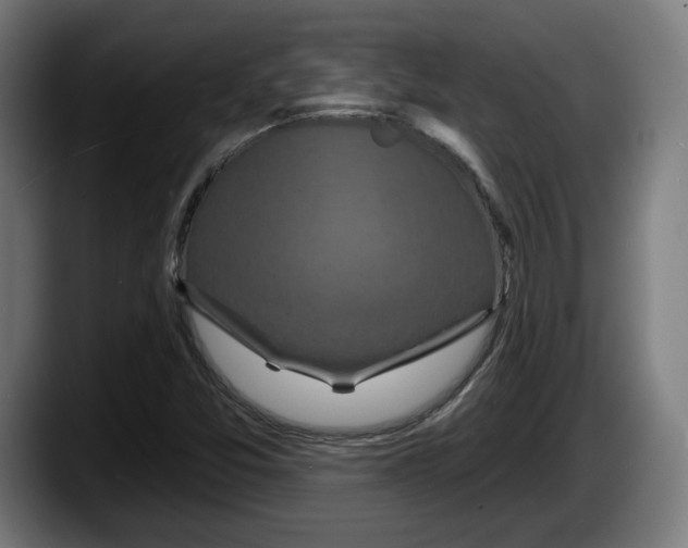 X0000087531357200705251651