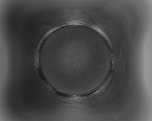 X0000087531358200705251651
