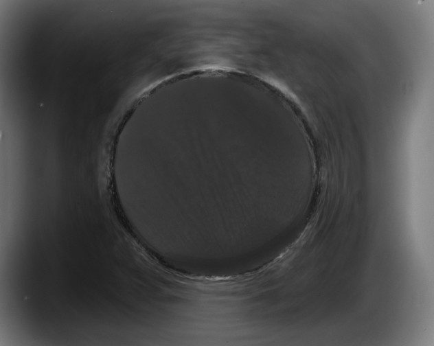X0000087531359200705251651
