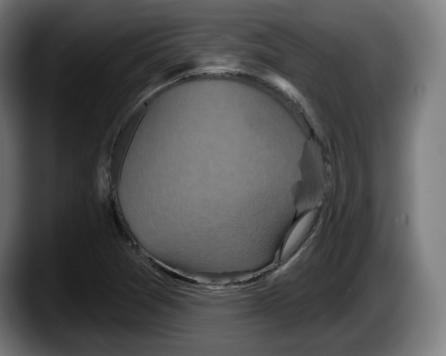 X0000087531361200705251651