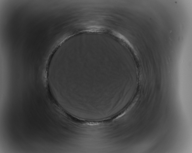 X0000087531362200705251651
