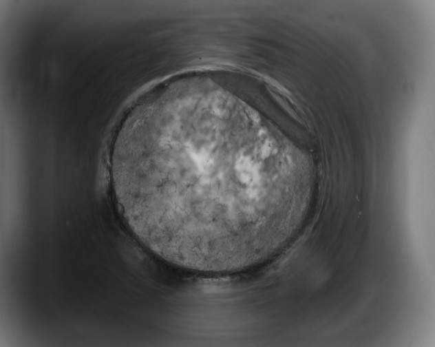 X0000087531363200705251651