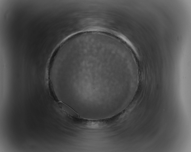 X0000087531364200705251651