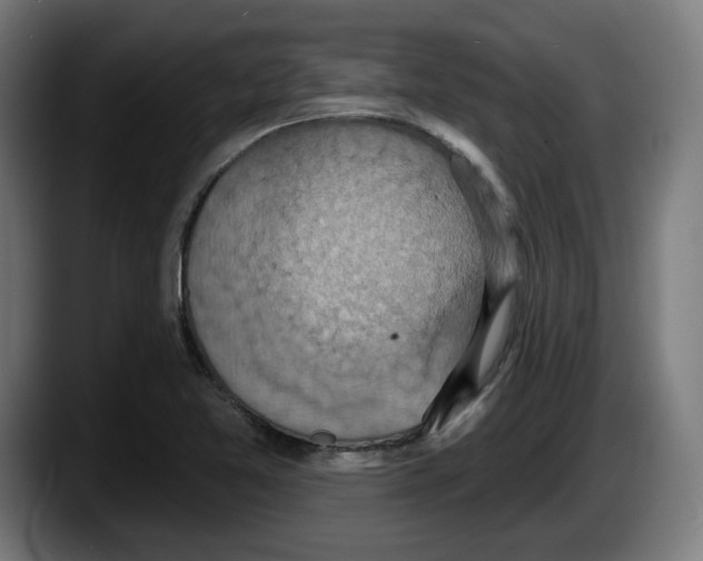 X0000087531365200705251651