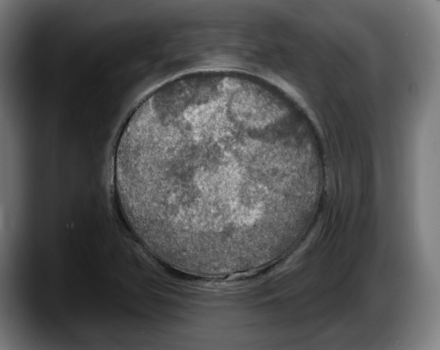 X0000087531366200705251651