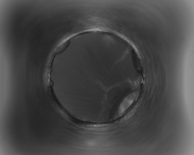 X0000087531367200705251651