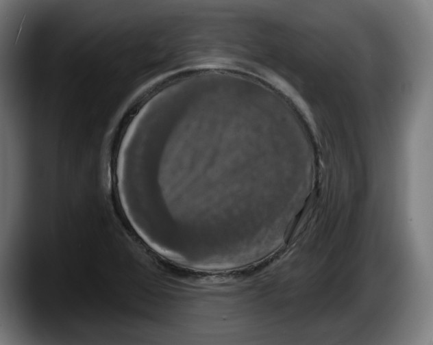 X0000087531368200705251651