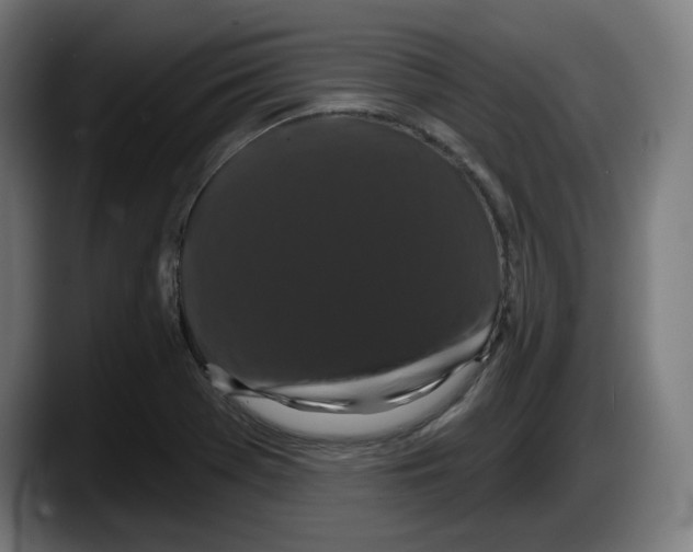 X0000087531369200705251651