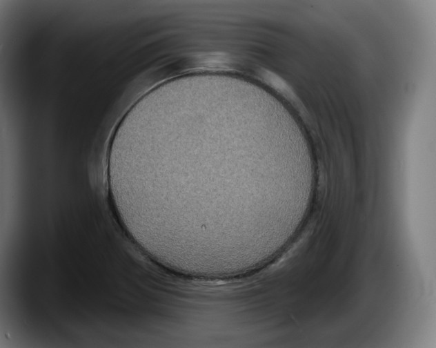 X0000087531370200705251651