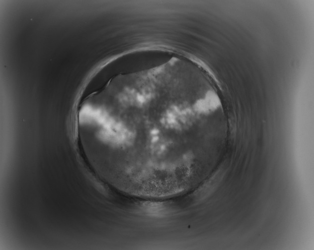 X0000087531371200705251651
