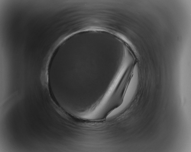 X0000087531372200705251651