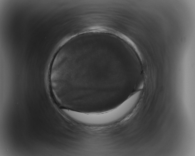 X0000087531373200705251651