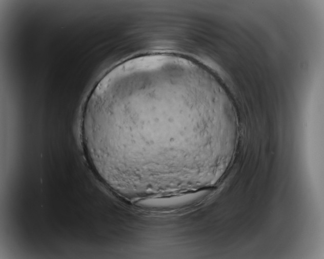 X0000087531374200705251651