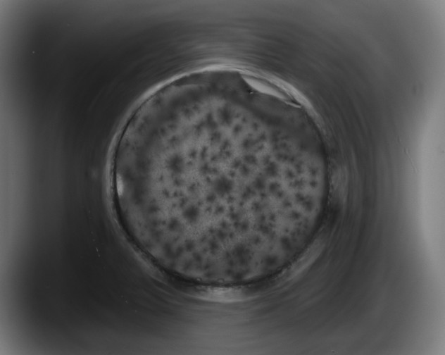 X0000087531375200705251651