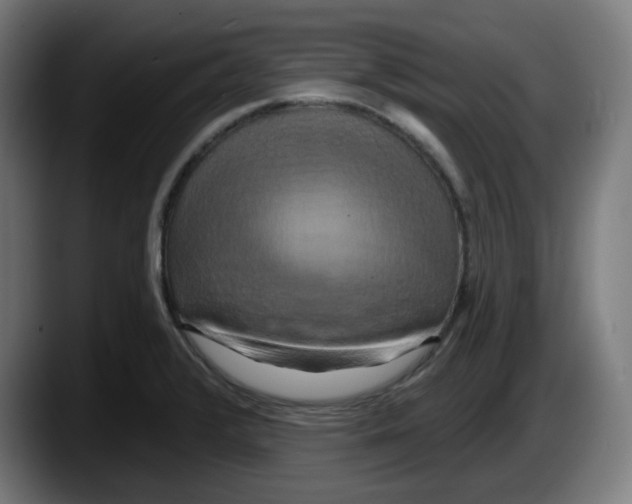 X0000087531376200705251651