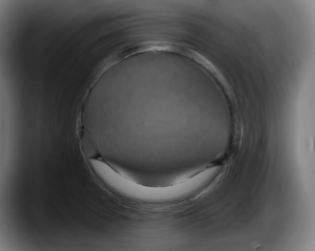 X0000087531377200705251651