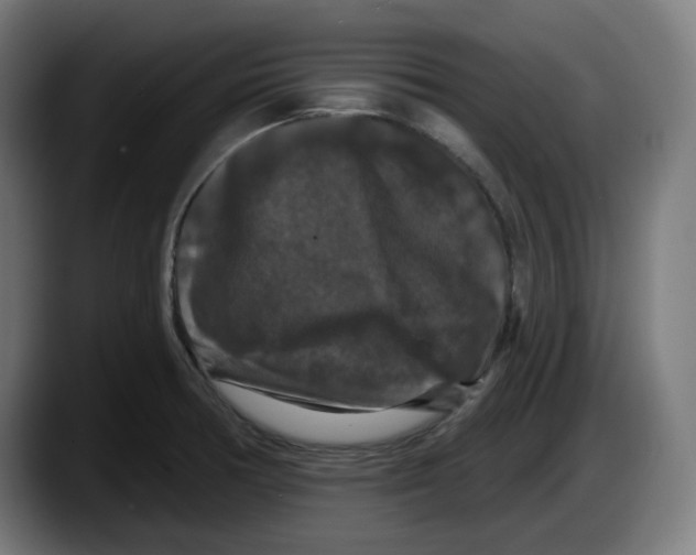 X0000087531378200705251651