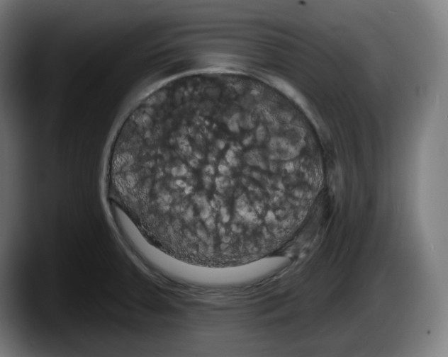 X0000087531379200705251651