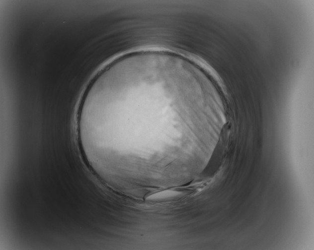 X0000087531380200705251651