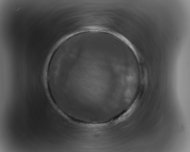 X0000087531381200705251651