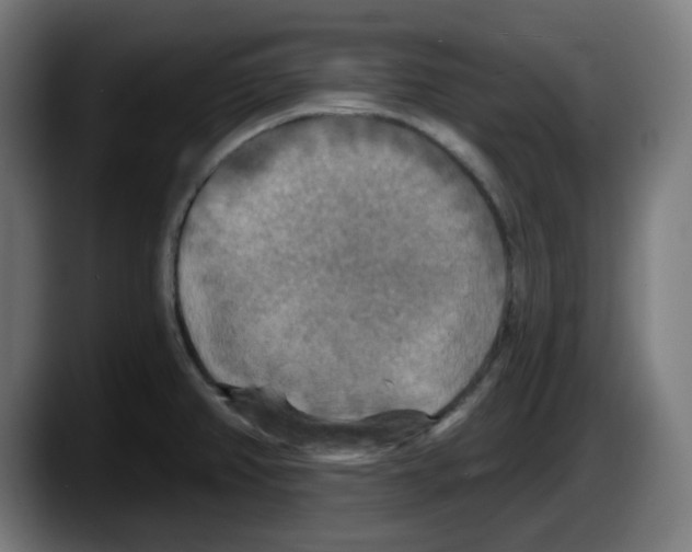 X0000087531382200705251651