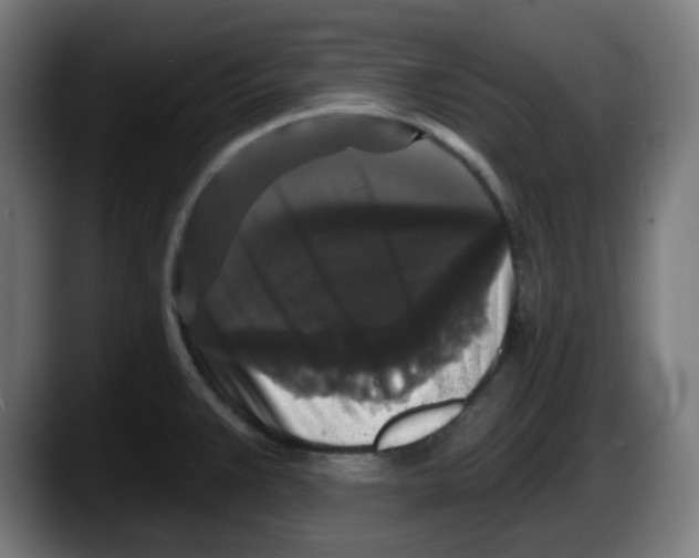 X0000087531383200705251651