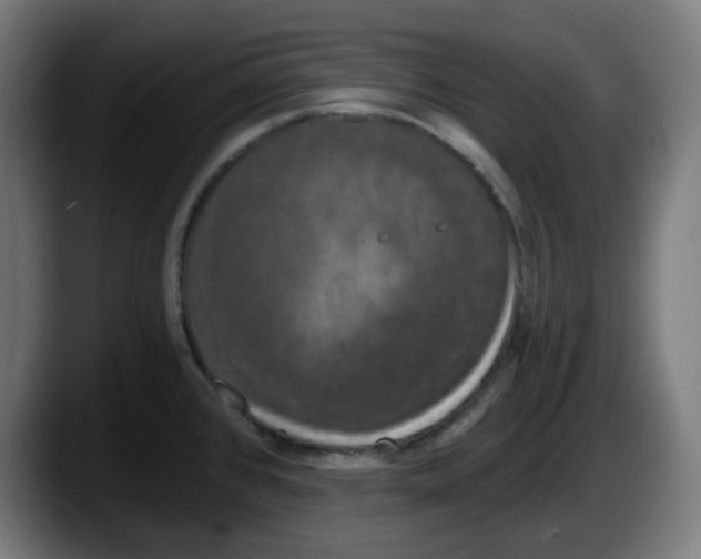 X0000087531384200705251650