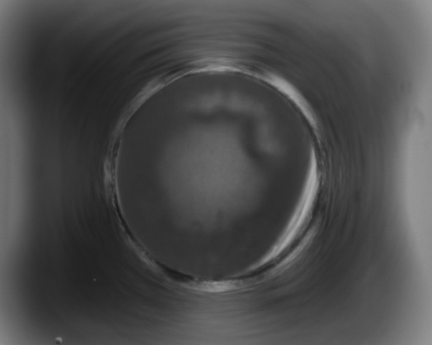 X0000087531385200705251650
