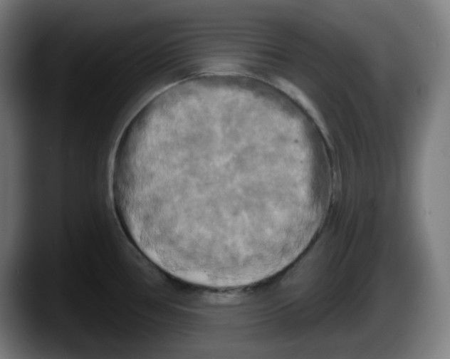 X0000087531386200705251650
