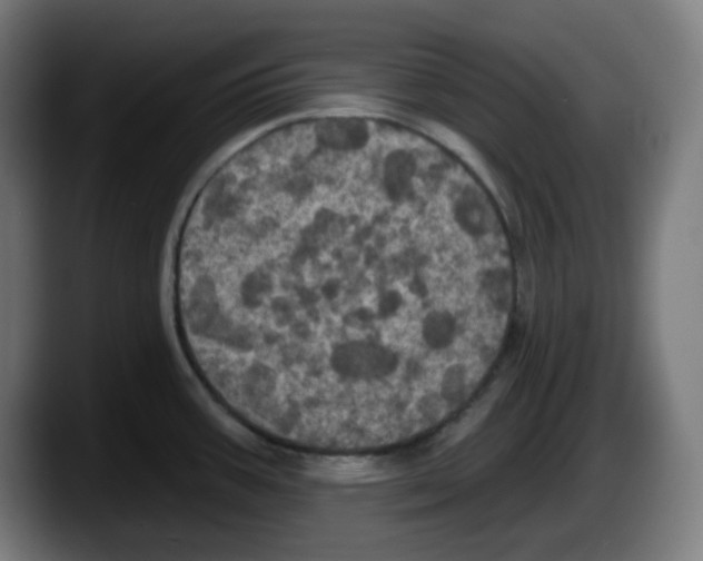 X0000087531387200705251650