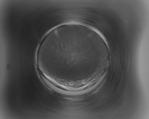 X0000087531388200705251650