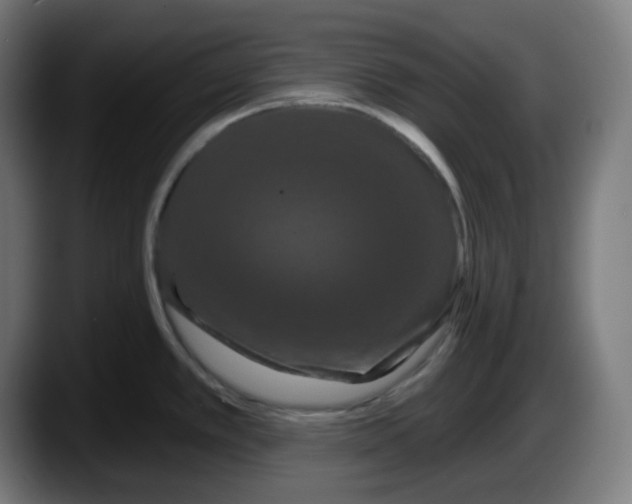 X0000087531389200705251650