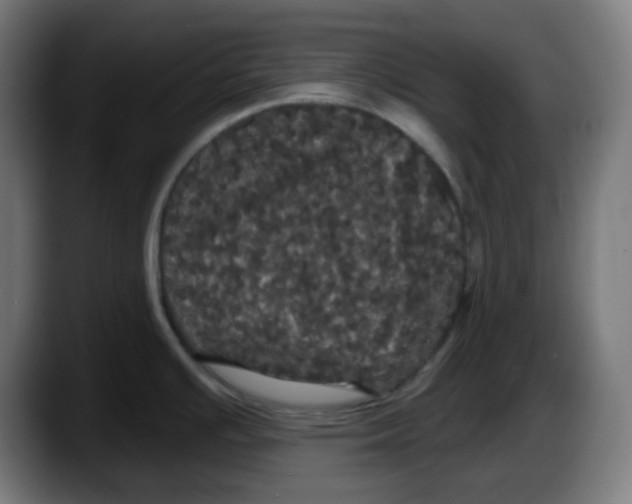 X0000087531391200705251650