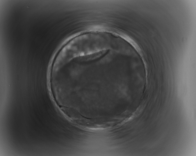 X0000087531392200705251650