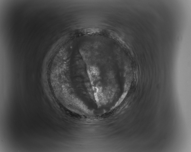 X0000087531393200705251650
