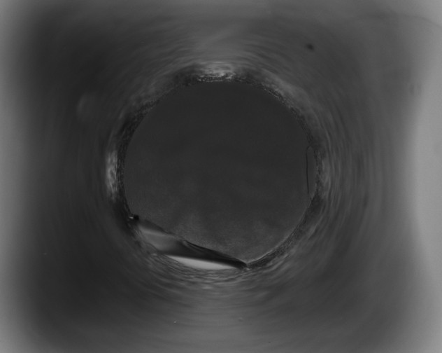 X0000087531394200705251650
