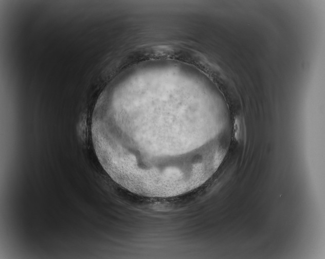 X0000087531395200705251650