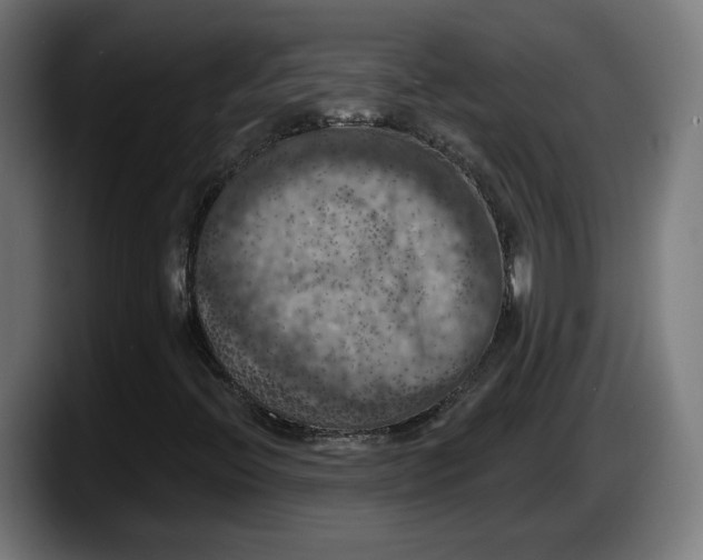 X0000087531396200705251650