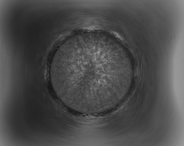 X0000087531398200705251650
