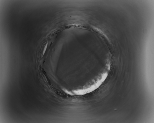 X0000087531399200705251650