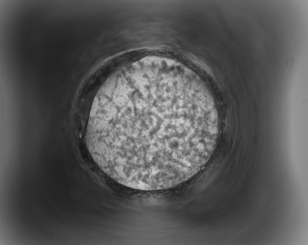 X0000087531400200705251650