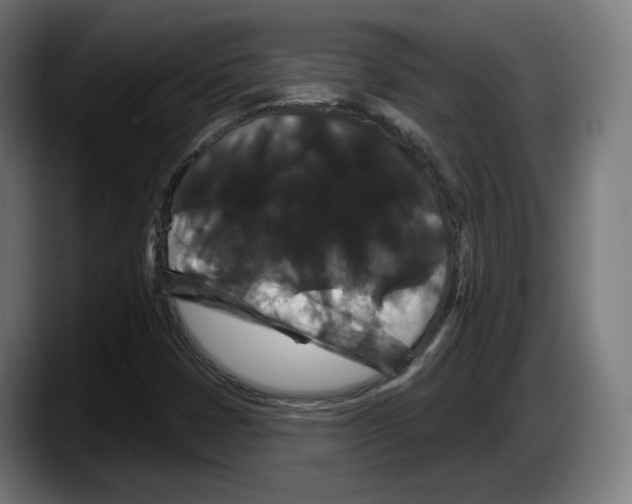 X0000087531401200705251650