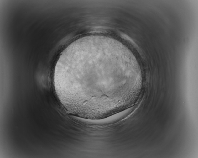 X0000087531403200705251650
