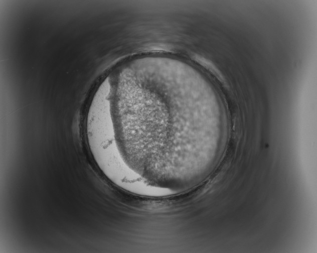 X0000087531404200705251650
