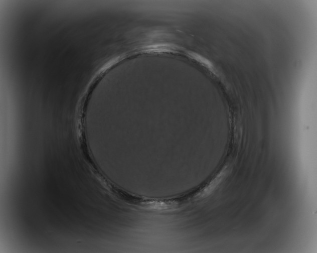X0000087531405200705251650