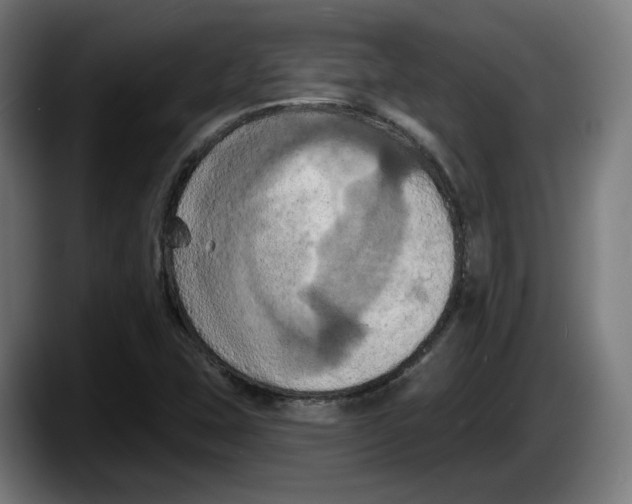 X0000087531407200705251650