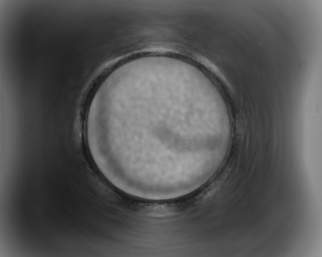 X0000087531408200705251650