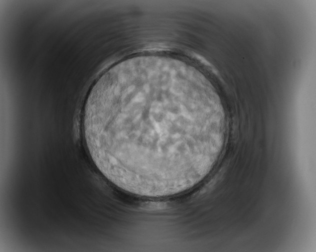 X0000087531409200705251650