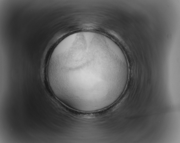 X0000087531410200705251650